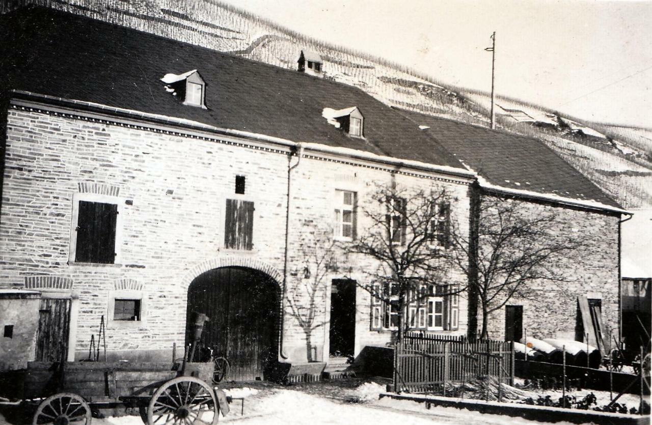 Altes Loerscher Winzerhaus ميهرينغ المظهر الخارجي الصورة